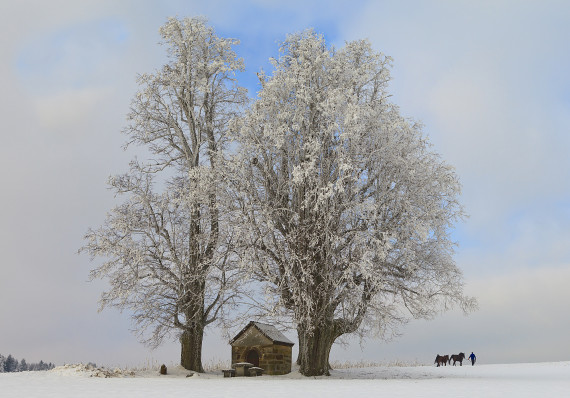 Winterlandschaft mit einer kleinen, von zwei Bäumen flankierten Hütte.
